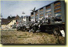 L�sladelse i Soltau 1994